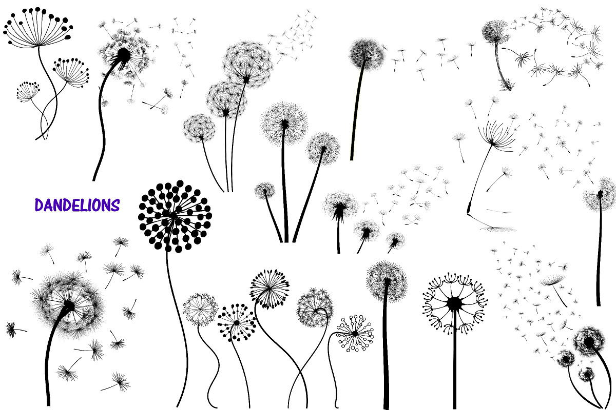 Dandelions & Overlays AI EPS PNG, an Illustration by FrankiesDaughtersDesign (Photo 4 of 6)