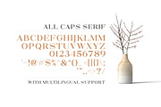 North Avellion - Script & Serif Duo, a Serif Font by Letterhend Studio (Thumbnail 9 of 10)