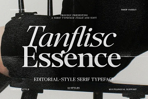 Tanflisc Essence | 12 Fonts, a Serif Font by Pista Mova