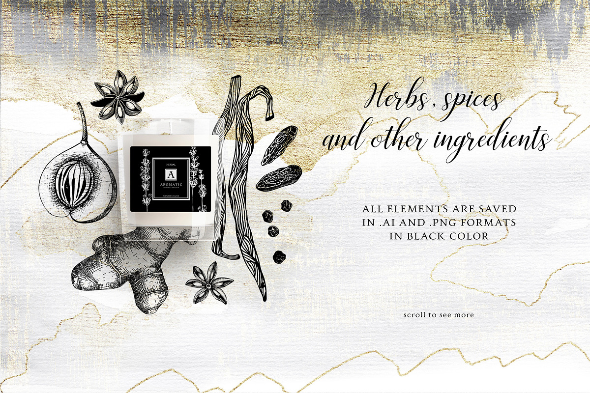Floral Aromatic Vector Illustrations, an Object Graphic by Yevheniia (Photo 5 of 7)