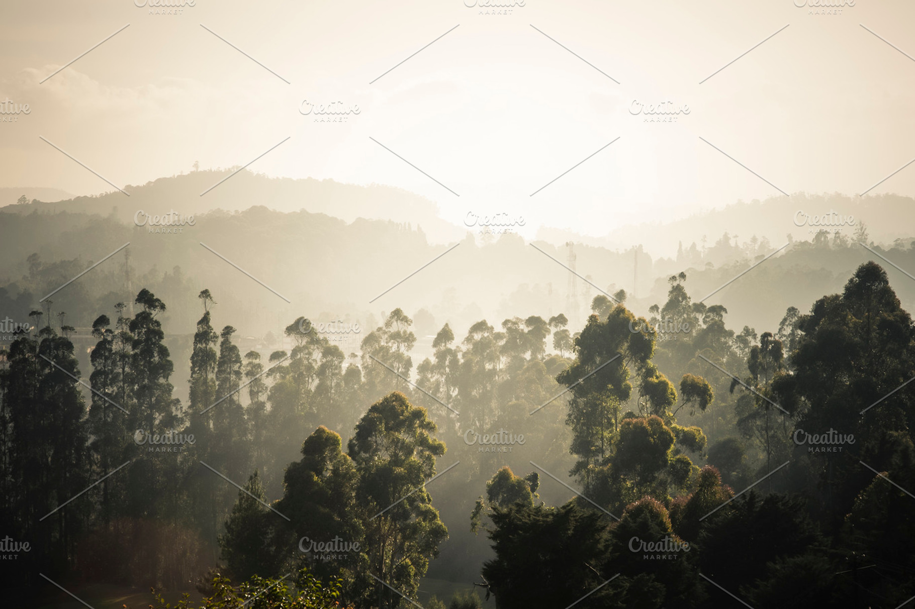 The hills containing tree, boat, and ooty, a Nature Photo by The Image Shop