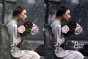 Peony Action for Photoshop preview 2