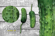 Pickle Vector - Botanic Specimens, an Object Graphic by Turning Moss (Thumbnail 3 of 4)