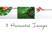 STYLED STOCK BUNDLE - HAWAIIAN, a Product Mockup by KABSPHOTOGRAPHY (Thumbnail 3 of 8)