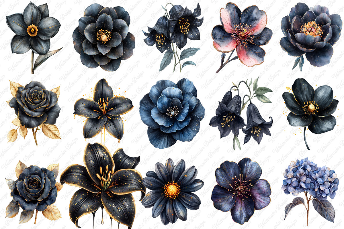 Glitter Luxury Black Spring Flower, an Illustration by Watercolor design (Photo 2 of 12)