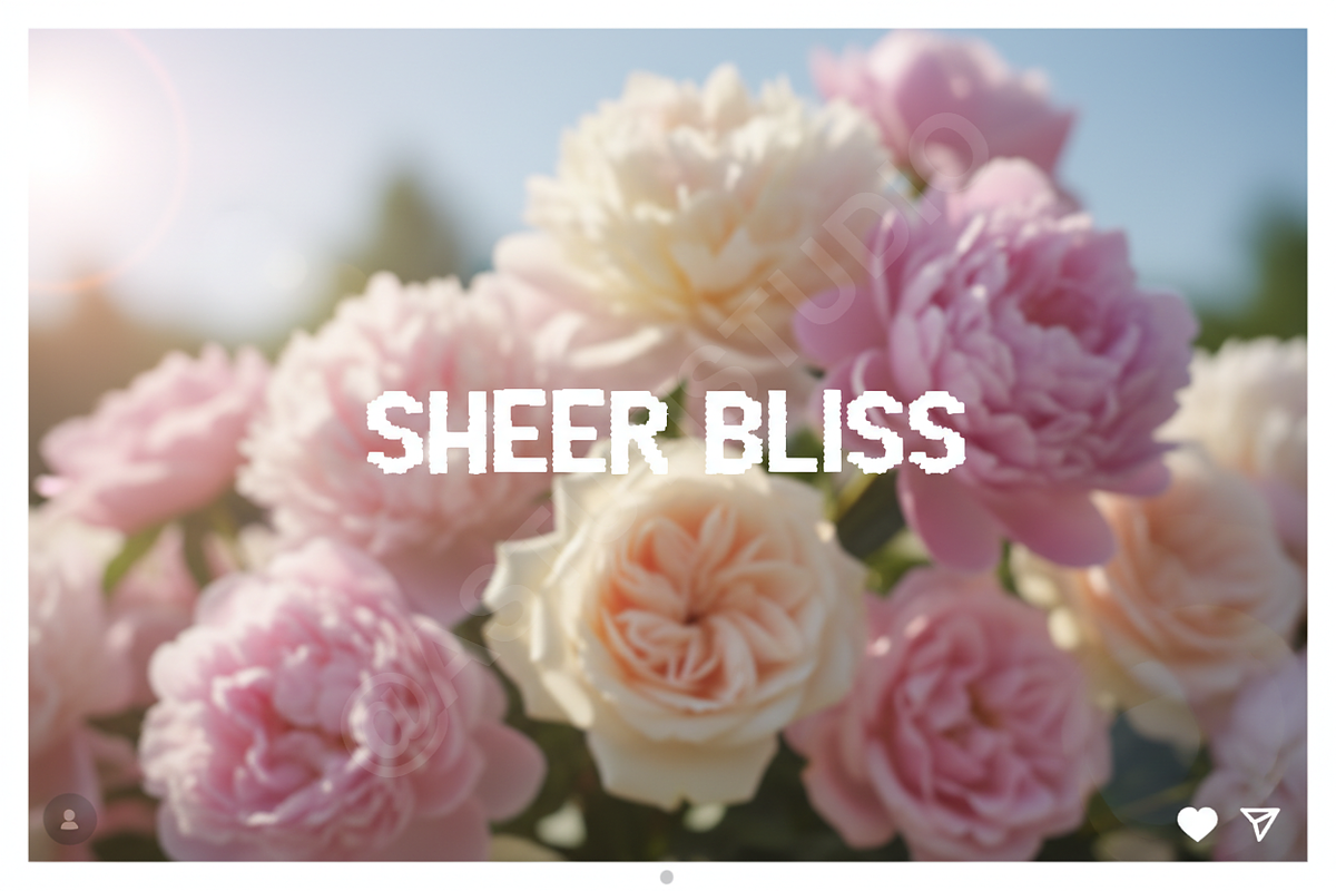 Zujiha - The Elegant Modern Serif Fo, a Font by Astuti Studio (Photo 9 of 16)