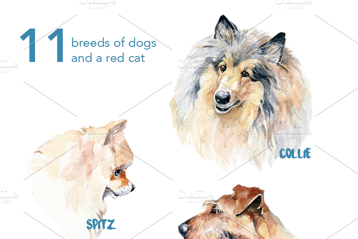 Watercolor dog breeds pack, an Animal Illustration by dm_art (Photo 5 of 6)