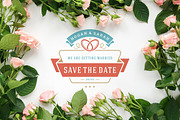18 Wedding Logos and Badges, a Branding & Logo Template by Vasya Kobelev (Thumbnail 8 of 15)