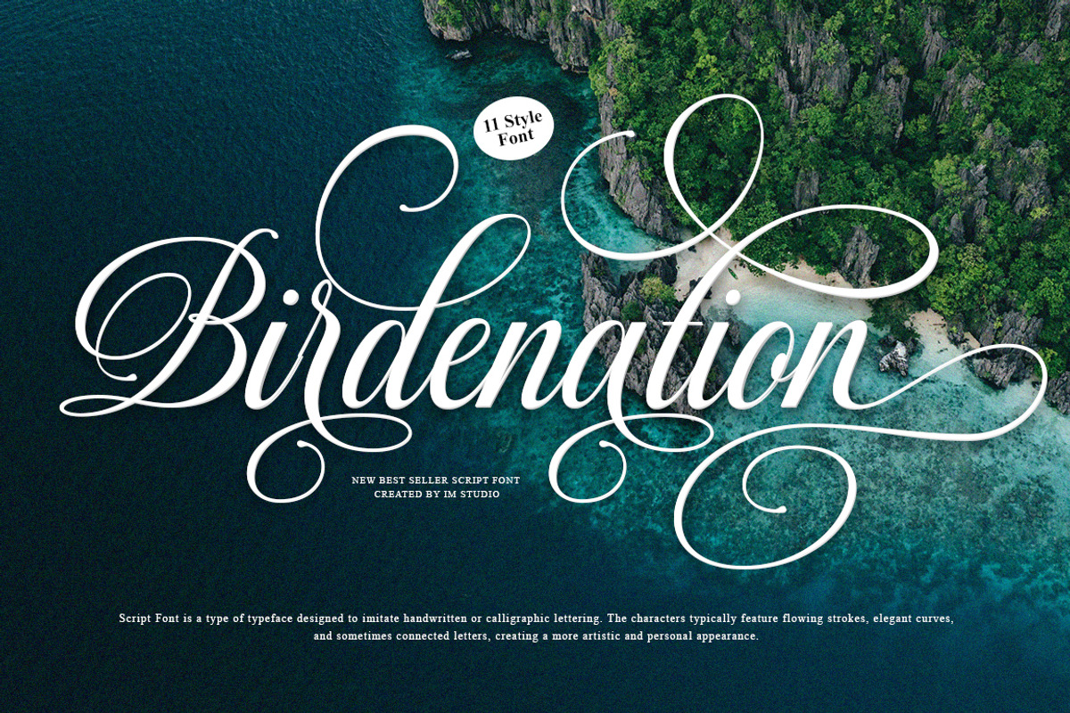 Millestian Script | 11 Font Style, a Script Font by IM Studio (Photo 6 of 9)