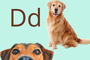 Alphabet Flashcards for Kids, a Poster Template by NailaDesignsStudio (Thumbnail 2 of 3)