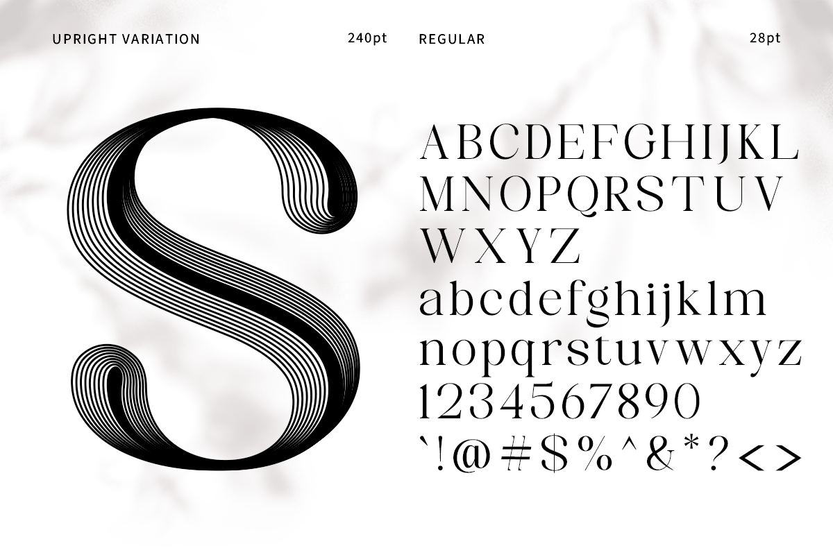 Celima, a Serif Font by Nurul_kamal (Photo 3 of 16)