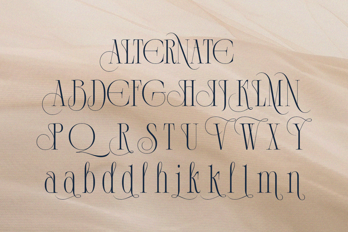 Demeris - Modern Refined Serif, a Serif Font by Qweera Studio (Photo 10 of 12)