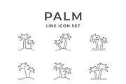 Set line icons of palm, an Outline Icon by motorama (Thumbnail 1 of 2)
