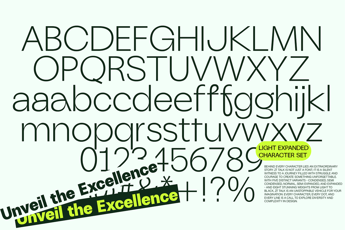 ZT Talk Sans - 80 Font, a Sans Serif Font by zelow type (Photo 6 of 15)