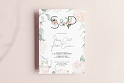 Clair & Blush - Summer Floral Set, an Illustration by studioequinox (Thumbnail 10 of 14)
