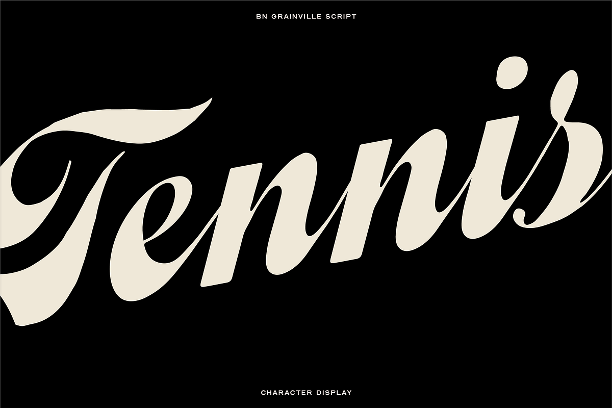 The Diverse Font Bundle, a Sans Serif Font by Bnick (Photo 6 of 34)