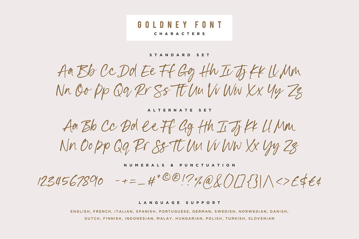 Goldney Font, a Script Font by Sam Parrett (Photo 9 of 9)