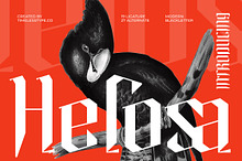 Helosa Modern Blackletter Font