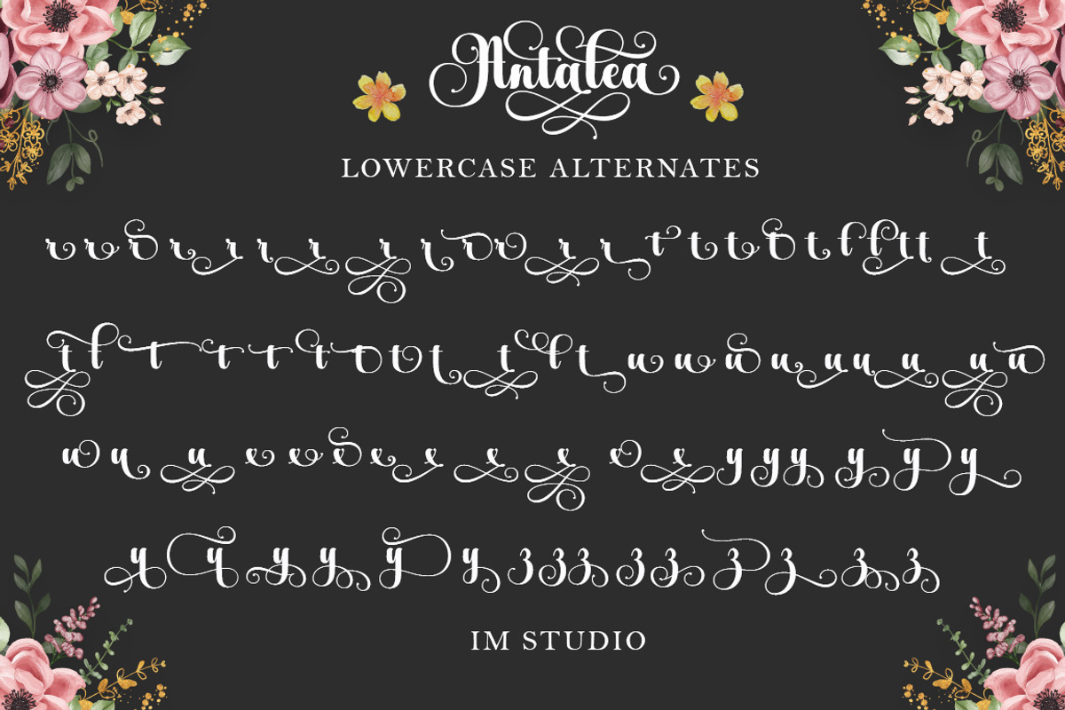 Antalea, a Script Font by IM Studio (Photo 11 of 12)