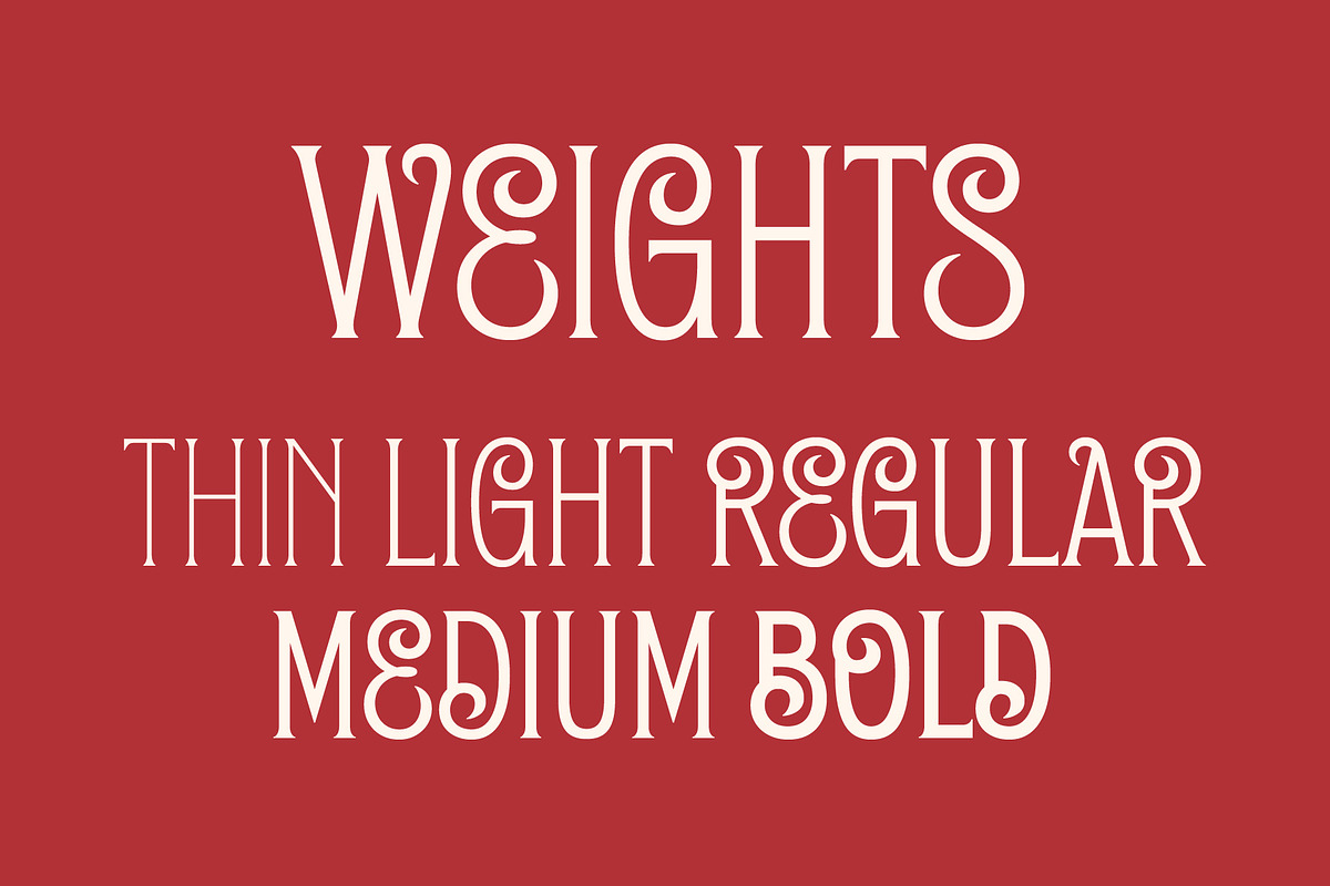 Turbinio - Variable Italian Font, a Sans Serif Font by The Type Fella (Photo 3 of 10)