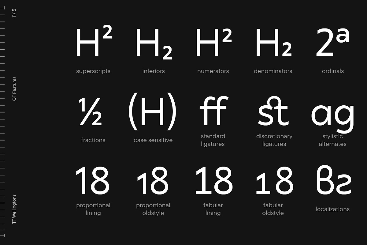 TT Wellingtons, a Sans Serif Font by TypeType (Photo 11 of 15)