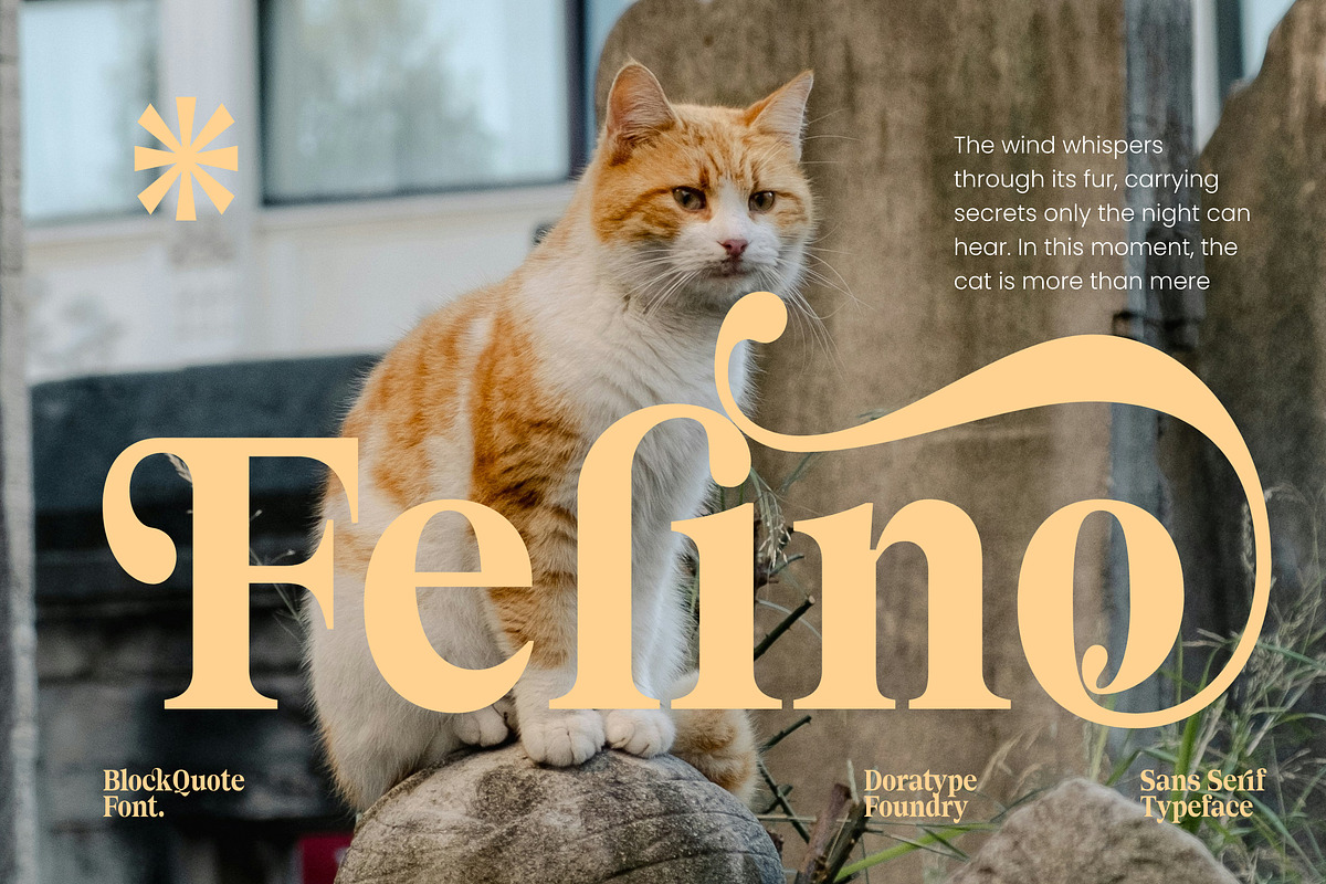 Block Quote Serif, a Serif Font by Dora Typefoundry (Photo 4 of 10)