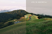 Grassland Lightroom Presets, an Action Add-On by FilterAtelier (Thumbnail 7 of 15)