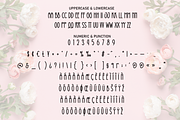 Rose Famous | Script Font, a Script Font by Scratchones (Thumbnail 7 of 8)