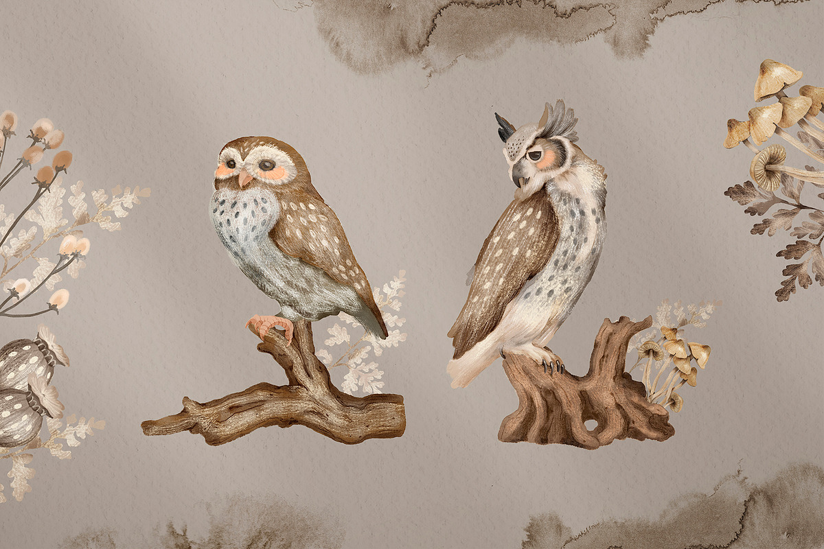 Owls Story watercolor forest clipart, an Animal Illustration by Alamella (Photo 5 of 12)