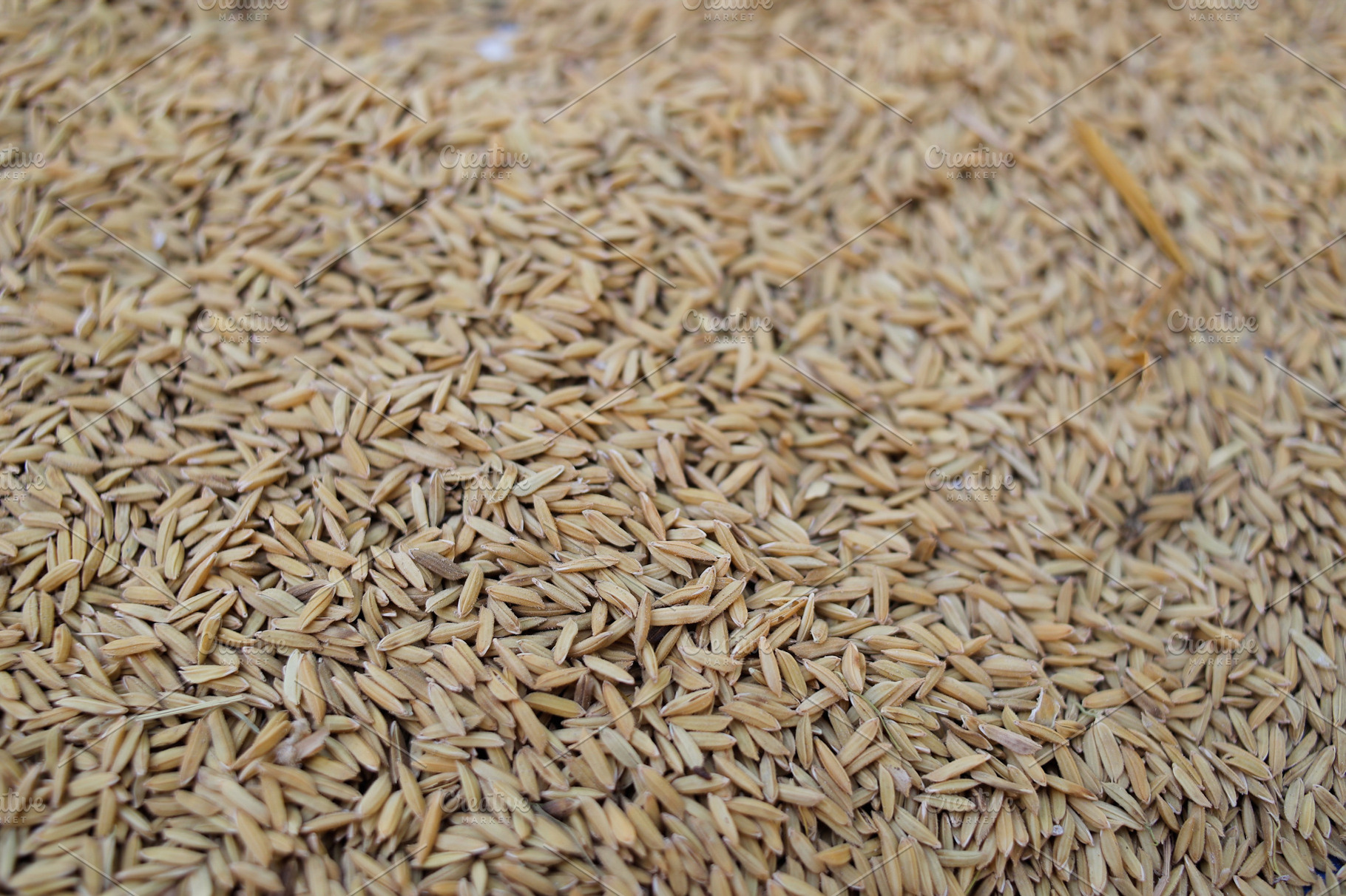 Close-up of rice texture (grain), a Food & Drink Photo by bastera