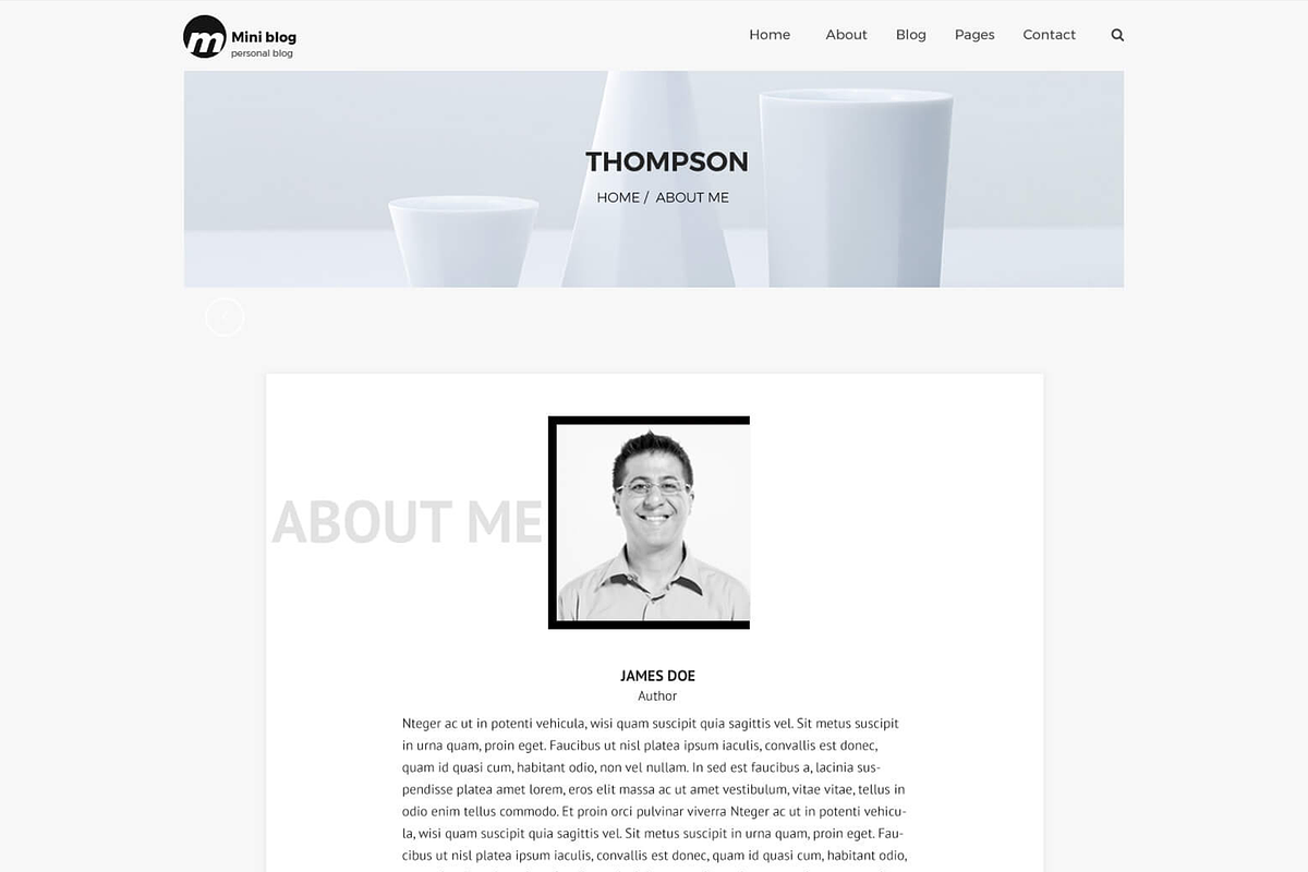 Mini Blog  - Web Template PSD, a Templates & Theme by Themeix (Photo 2 of 5)