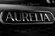 Vinagosta: A Luxury Display Font, a Serif Font by Letterhanna Studio (Thumbnail 6 of 9)