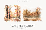 Autumn Forest, a Seasonal Illustration by PeDe Designs (Thumbnail 5 of 7)