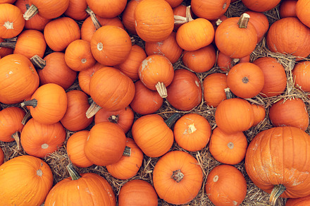 Halloween pumpkins background.