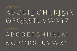 Karimoon Light - Elegant Typeface