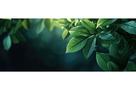 Fresh Foliage Background, a Nature Photo by BazziBa♥