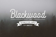 Blacklwood, a Sans Serif Font by Secondivison Supply (Thumbnail 3 of 10)