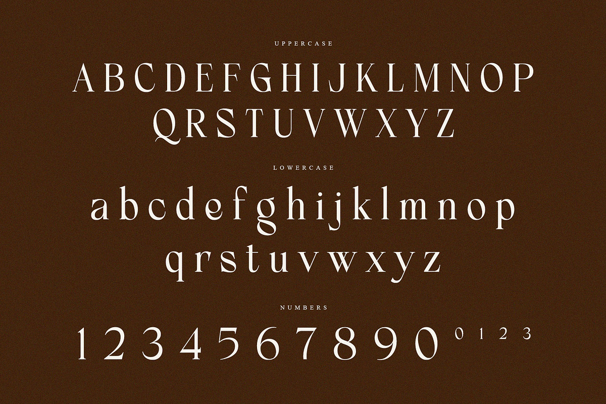 Frenchy – Elegant Ligature Serif, a Serif Font by Krismagraph (Photo 7 of 10)