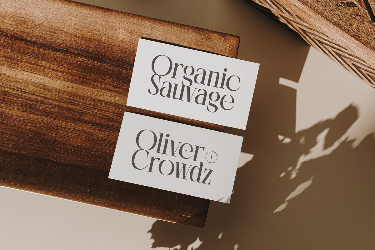 Rich Dashy Modern Elegant Serif, a Script Font by timelesstype.co (Photo 15 of 20)