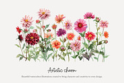 100 watercolour dahlia clip art, a Seasonal Illustration by Poppy Lane Studio (Thumbnail 4 of 12)