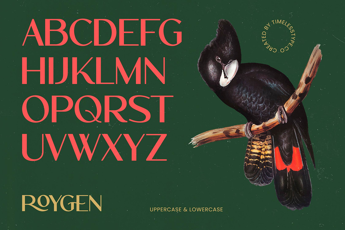 Roygen Elegant Sans Serif Display, a Sans Serif Font by timelesstype.co (Photo 10 of 20)