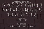 History, a Handwritten Font by FreshTypeINK (Thumbnail 6 of 8)
