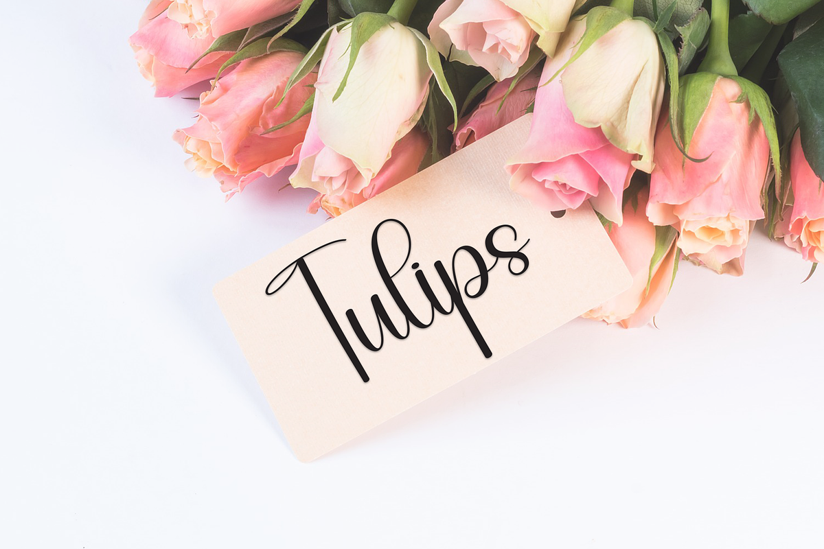 Someday | Script Font, a Handwritten Font by Scratchones (Photo 5 of 9)