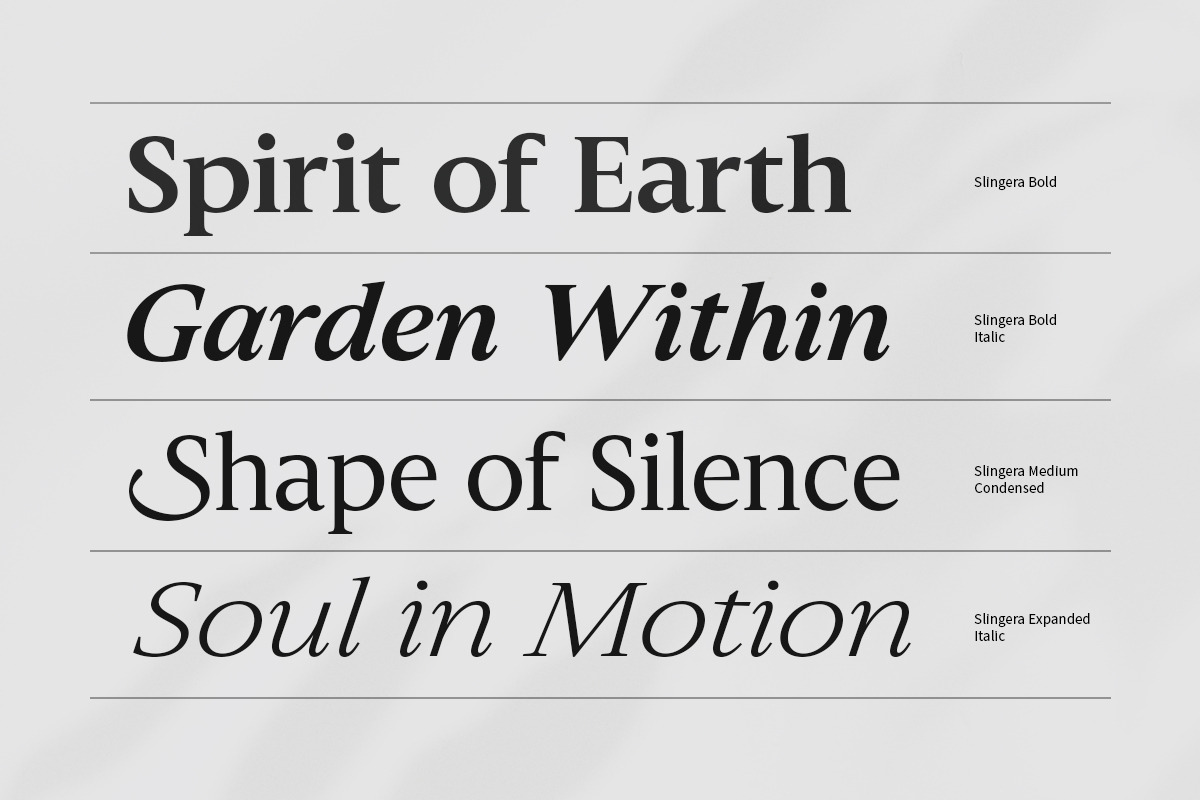 Slingera - Display Serif, a Serif Font by Attract Studio (Photo 8 of 17)