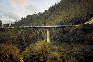 Forest bridge with tall pier, a Transportation Photo by SkyNext