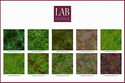 Seamless Spring Ground Cover, a Texture Graphic by Lab Designs (Thumbnail 3 of 3)