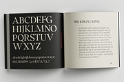Cita Pro Serif Family, a Serif Font by xdCreative (Thumbnail 10 of 10)