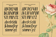 Vrassco - Modern Display Serif, a Serif Font by Qweera Studio (Thumbnail 12 of 12)