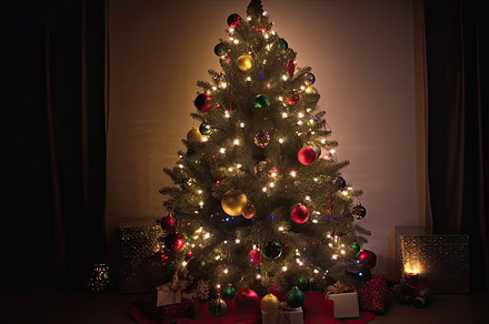 Christmas background with a beautifu, a Photo by SaroStock