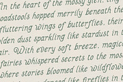 Fairwren, a Serif Font by Fairwren Creative (Thumbnail 2 of 9)